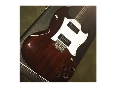 Electrical Guitar DS 12