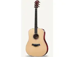 Taylor DN5 Dreadnought