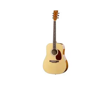 Hofner (Höfner) HAS-D01 N