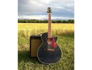 Gretsch Rancher G5015