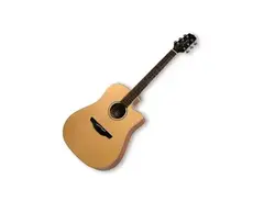 Takamine EG510SC main image