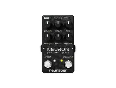 Neunaber Neuron