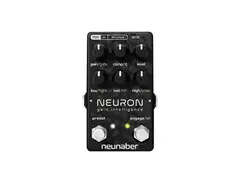 Neunaber Neuron