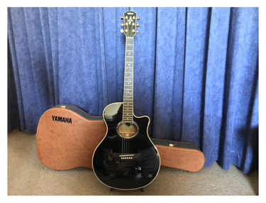 YAMAHA APX9C