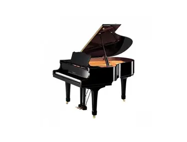 Yamaha C2 PE