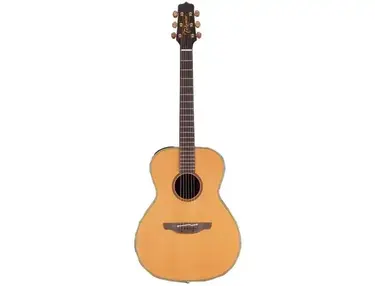 Takamine EAN70