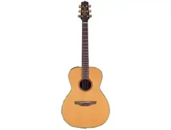 Takamine EAN70