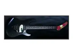 ESP SEC 