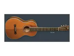 Washburn R314K main image