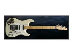 ESP Vintage Plus "Roadrunner" main image