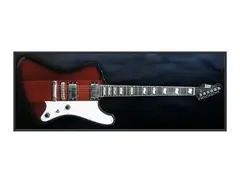 ESP Phoenix-II
