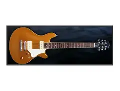 ESP SEC 
