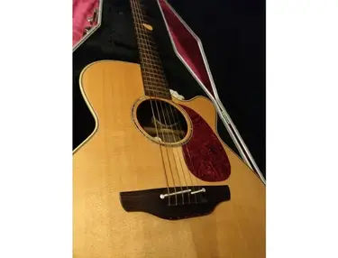 Takamine EAN46C
