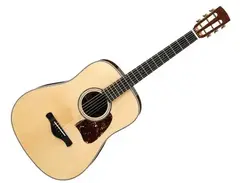 Ibanez AVD 1 main image