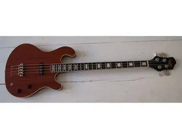 Gun Custom Guitars The Monkey