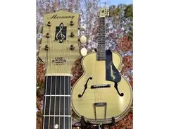 Harmony F-hole Archtop main image