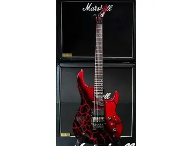 Washburn EC29