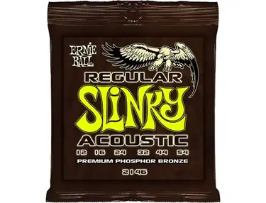Ernie Ball Regular Slinky Acoustic Guitar Strings (12-54)