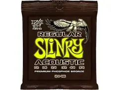 Ernie Ball Regular Slinky Acoustic Guitar Strings (12-54)