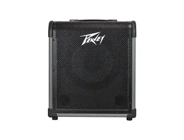 Peavey Max 100