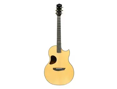 McPherson Custom Acoustic