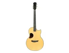 McPherson Custom Acoustic