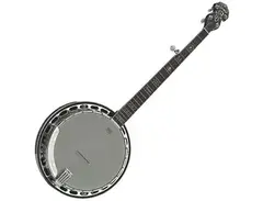 Ozark 2141G Resonator Banjo main image