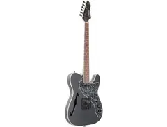 Firefly Guitars Telecaster Thinline main image