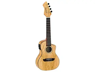 Ortega RUMG-CE