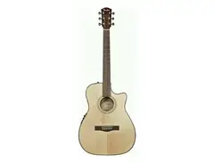 Fender CF-140 SCE main image