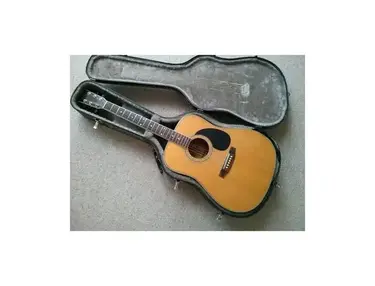 Tanglewood TW600