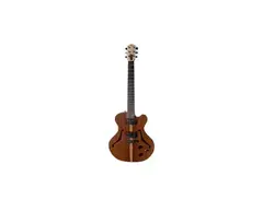 Carter Custom Instrument Little Gent main image