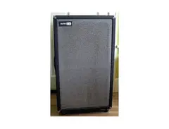 Sunn Bass Cabinet