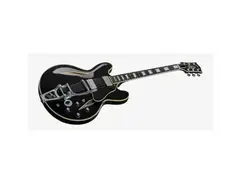 Gibson 2017 Shinichi Ubukata ES-355