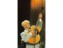 Eccleshall B model 12 string
