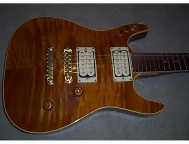 Ibanez Ghost Rider Shawn Lane custom