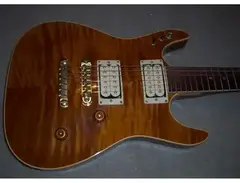 Ibanez Ghost Rider Shawn Lane custom