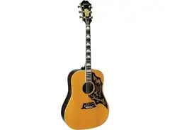 Epiphone Excellente