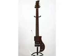Electra Guitars 2246 Lucite main image