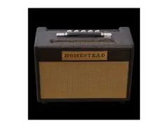 Homestead BF-25 amp