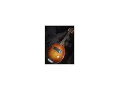 Rickenbacker "Electro" Electric Mandolin main image