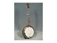 StewMac Eagle kit banjo