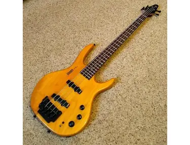 Hohner B-Bass IV