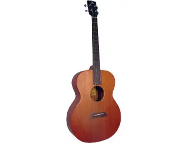 Ashbury AT-24 Tenor guitar