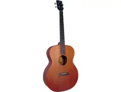 Ashbury AT-24 Tenor guitar