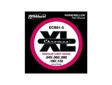 D'Addario ECB81