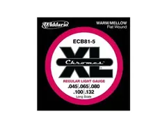 D'Addario ECB81