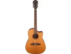 Fender F1020 SCE main image