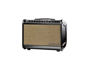 Traynor Acoustic Master Mini 65 Watt Amp