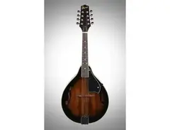 Ibanez acoustic mandolin